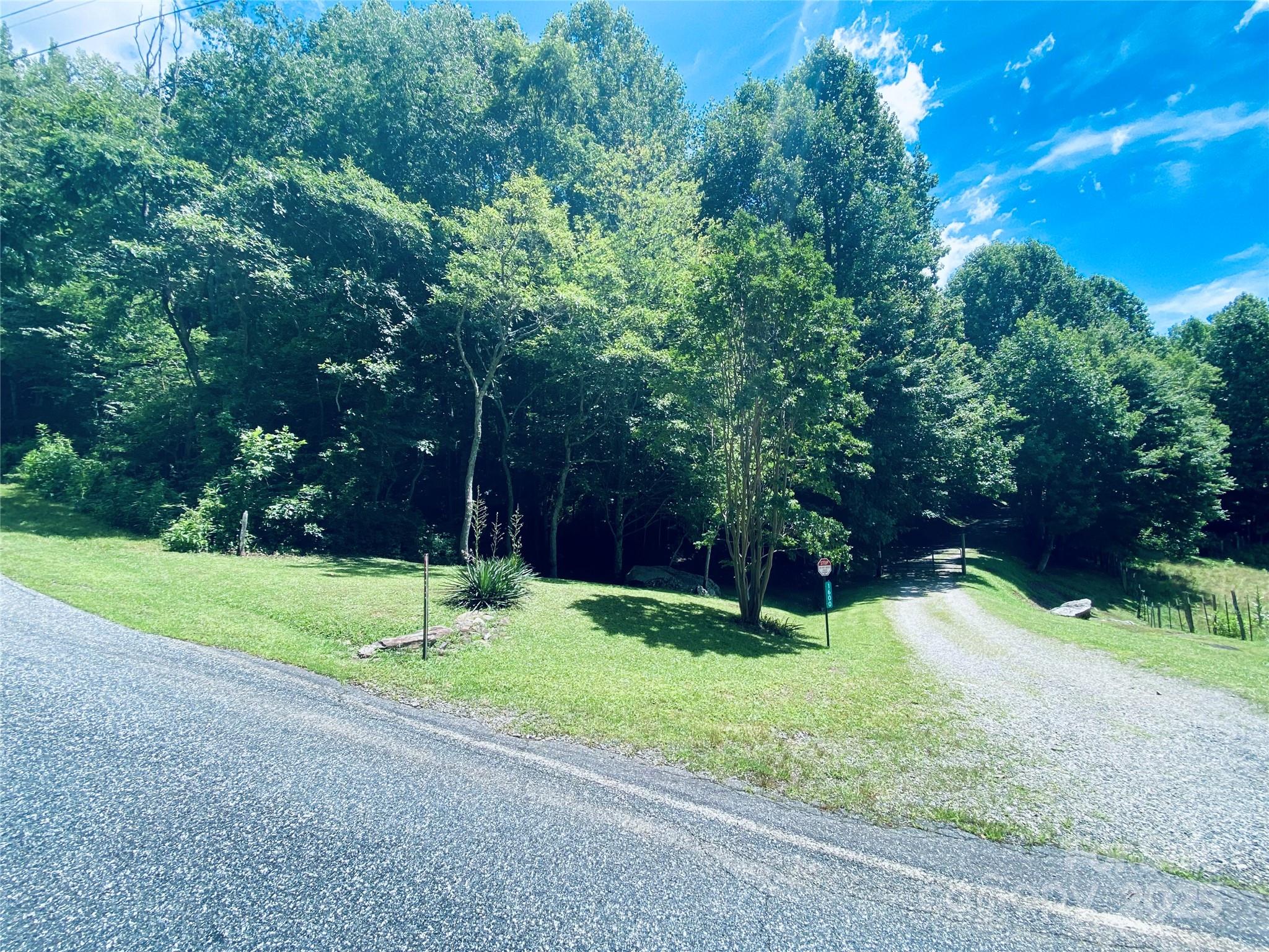 0 Monteith Branch Road Sylva, NC 28779 - Photo 2 of 7 a view of a park with a tree