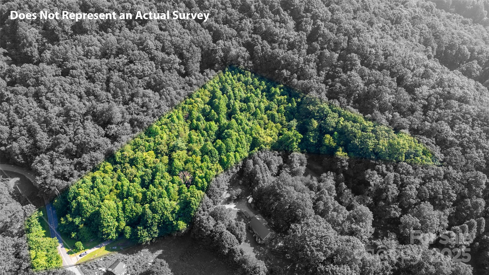 0 Monteith Branch Road Sylva, NC 28779 - Photo 5 of 7 a plant that is in a garden