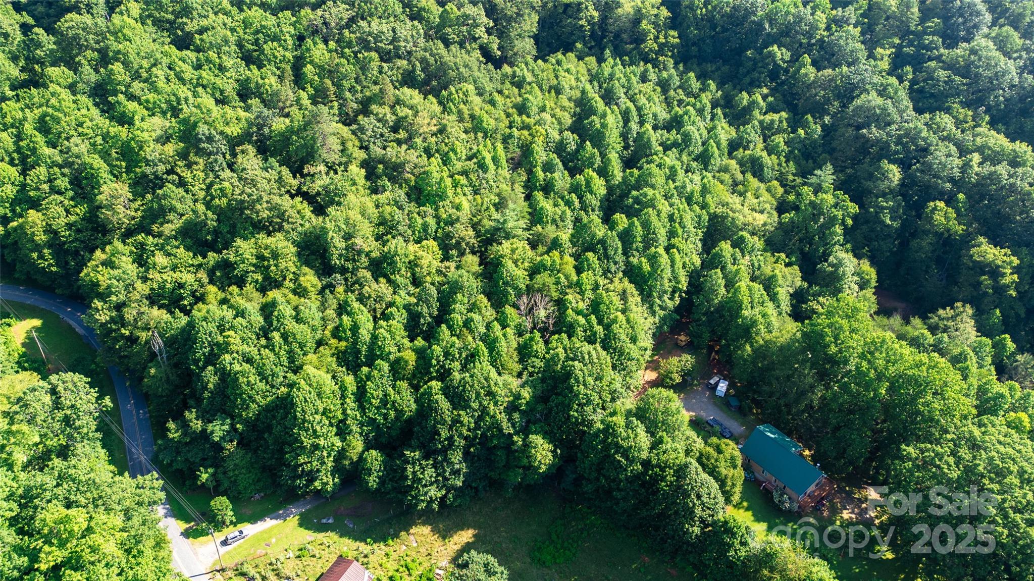 0 Monteith Branch Road Sylva, NC 28779 - Photo 6 of 7