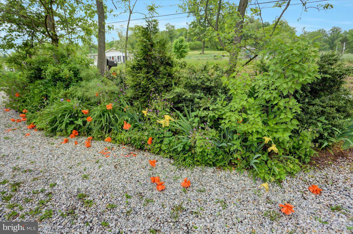 1850 County Line Road York Springs, PA 17372 - Photo 38 of 47 Gallery Image 38