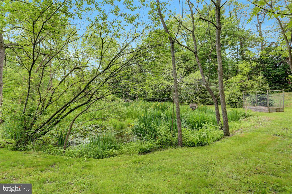 1850 County Line Road York Springs, PA 17372 - Photo 45 of 47 Gallery Image 45