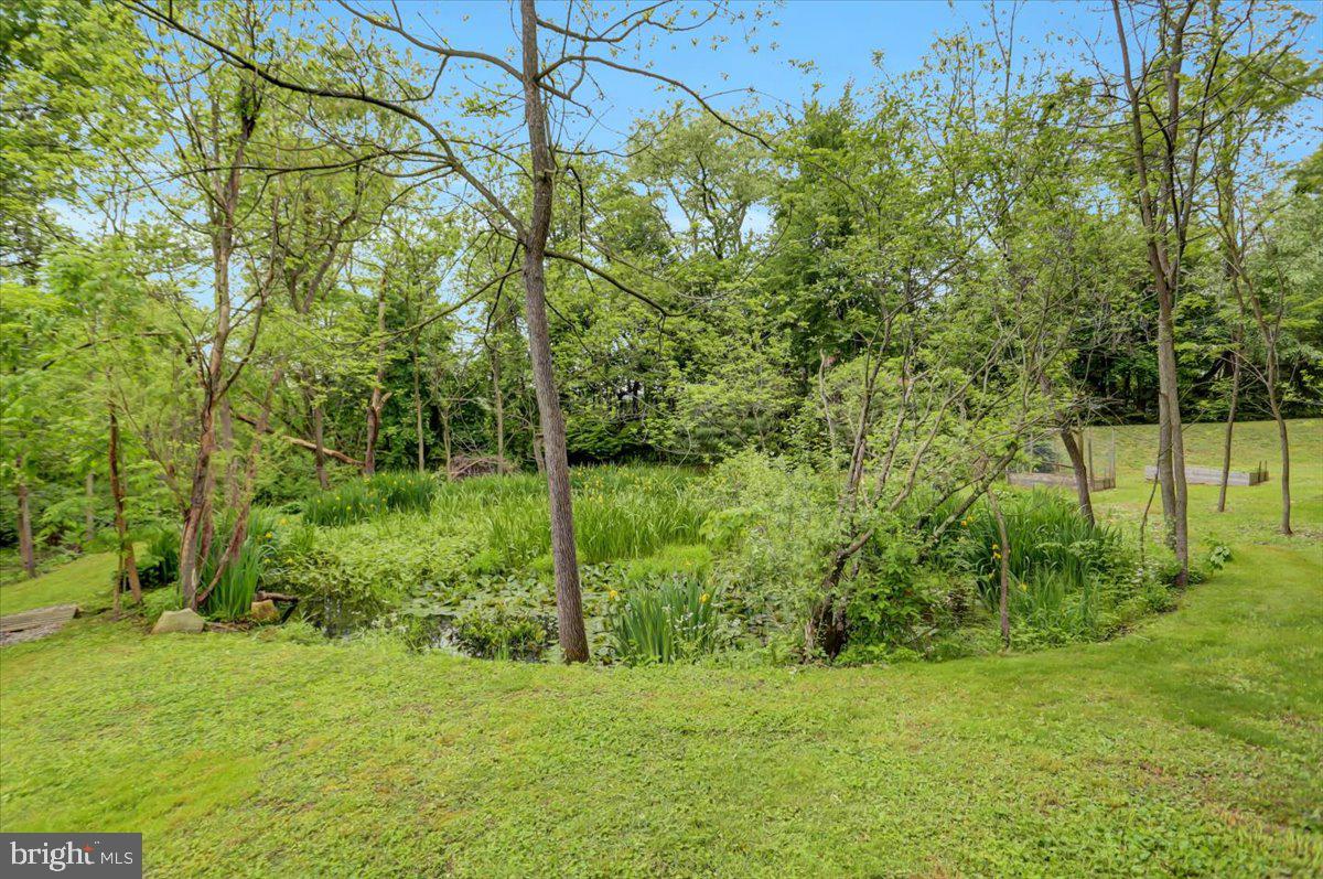 1850 County Line Road York Springs, PA 17372 - Photo 46 of 47 Gallery Image 46