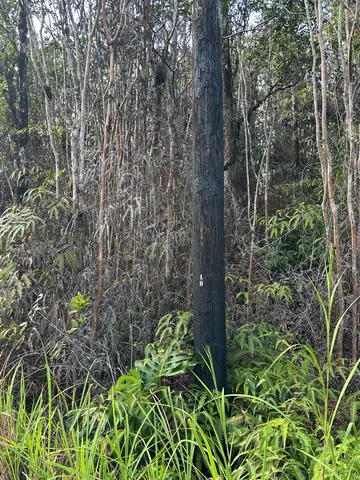 $42,000 | 3231 Road 3 (hopue) Kurtistown Hi 96760, Mountain View, HI 96771