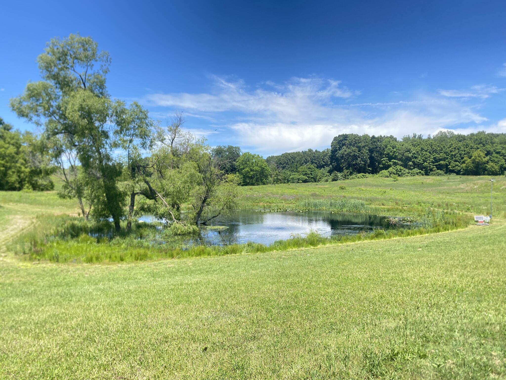 Cassidy Road Bellevue, MI 49021 - Photo 3 of 13 IMG_9365