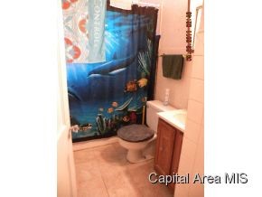 1724 South 2nd Street Springfield, IL 62704 - Photo 16 of 17