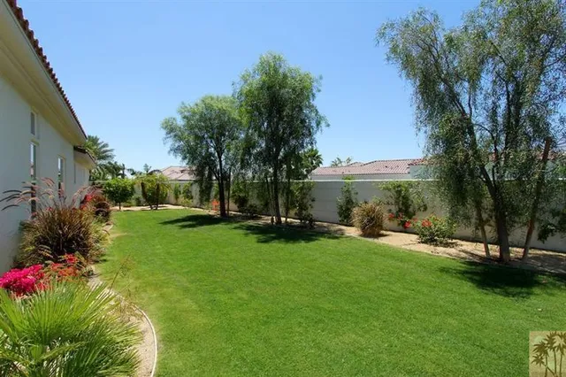 a view of a garden with plants and trees