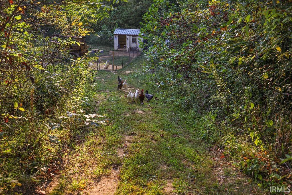 6063 Little Flock Road Spencer, IN 47460 - Photo 20 of 36
