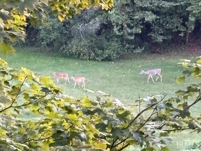 6063 Little Flock Road Spencer, IN 47460 - Photo 33 of 36