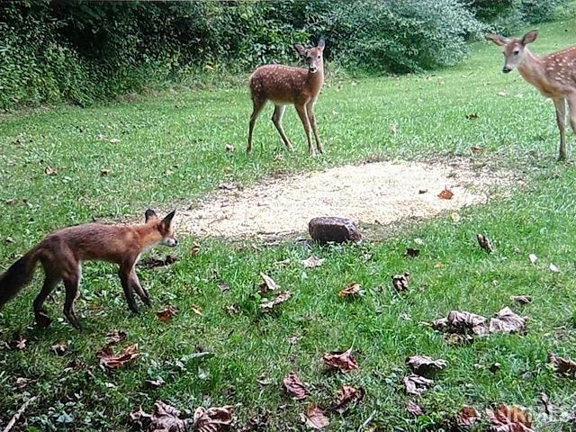 6063 Little Flock Road Spencer, IN 47460 - Photo 34 of 36