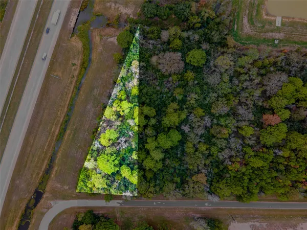 a view of a yard from a window
