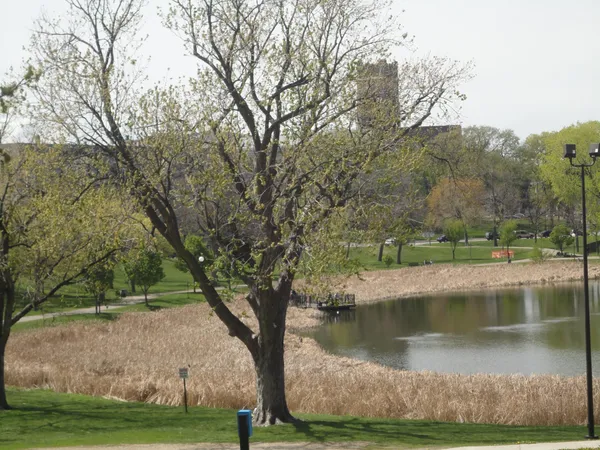 $1,695 | 1401 Willow Street, Unit 8, Minneapolis, MN 55403