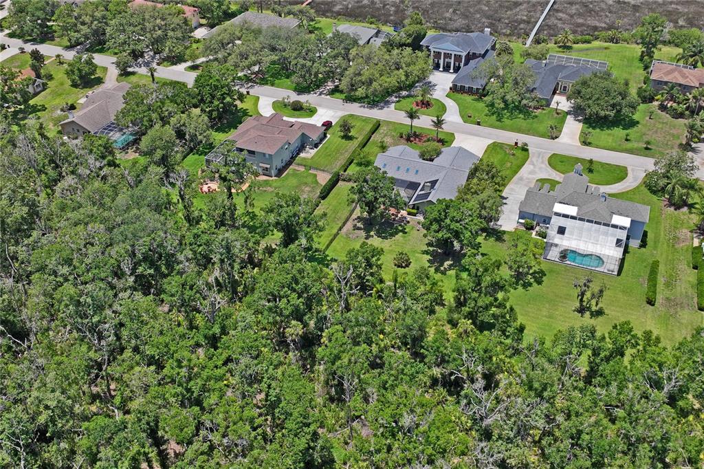1087 Riverside Ridge Road Tarpon Springs, FL 34688 - Photo 88 of 96 Gallery Image 88