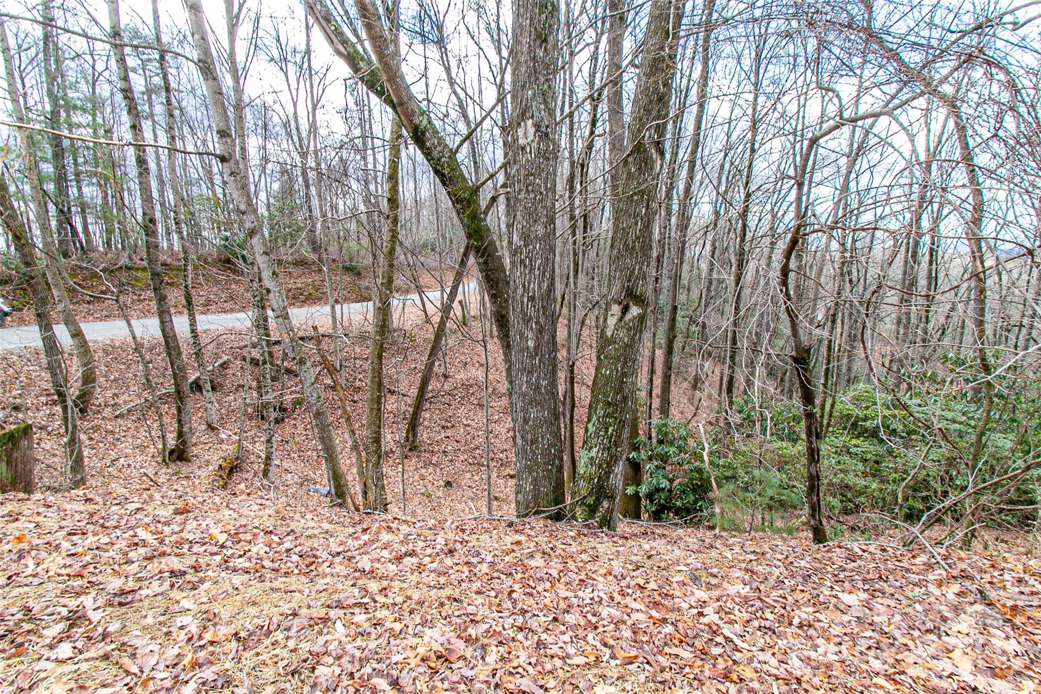 Tbd Big Branch Road, Unit S4 / L32R Brevard, NC 28712 - Photo 12 of 14 Gallery Image 12