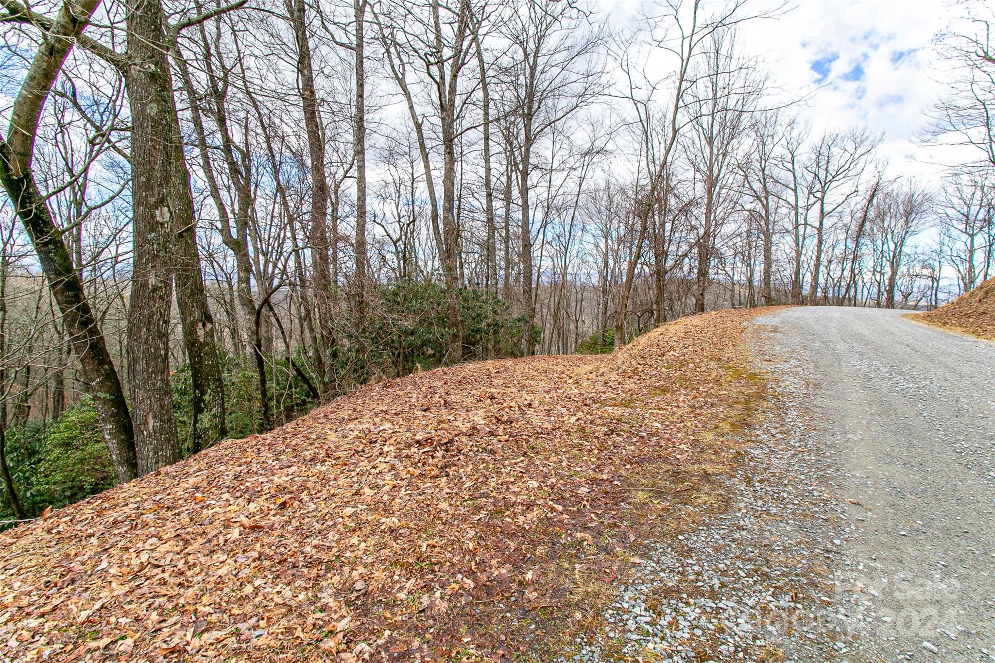 Tbd Big Branch Road, Unit S4 / L32R Brevard, NC 28712 - Photo 13 of 14 Gallery Image 13