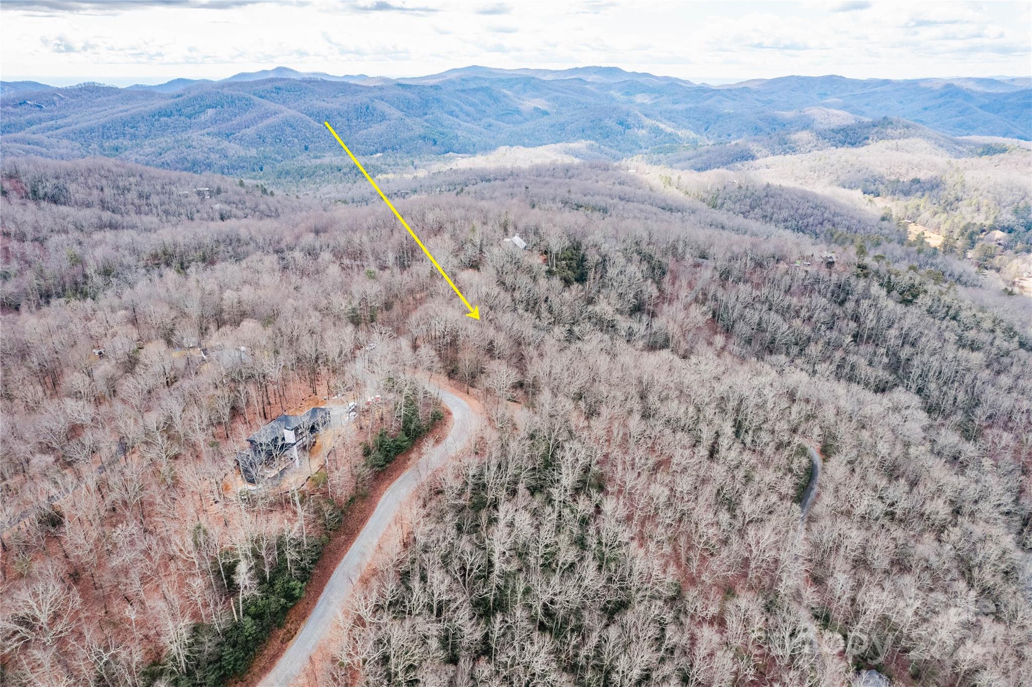 Gallery Image 7