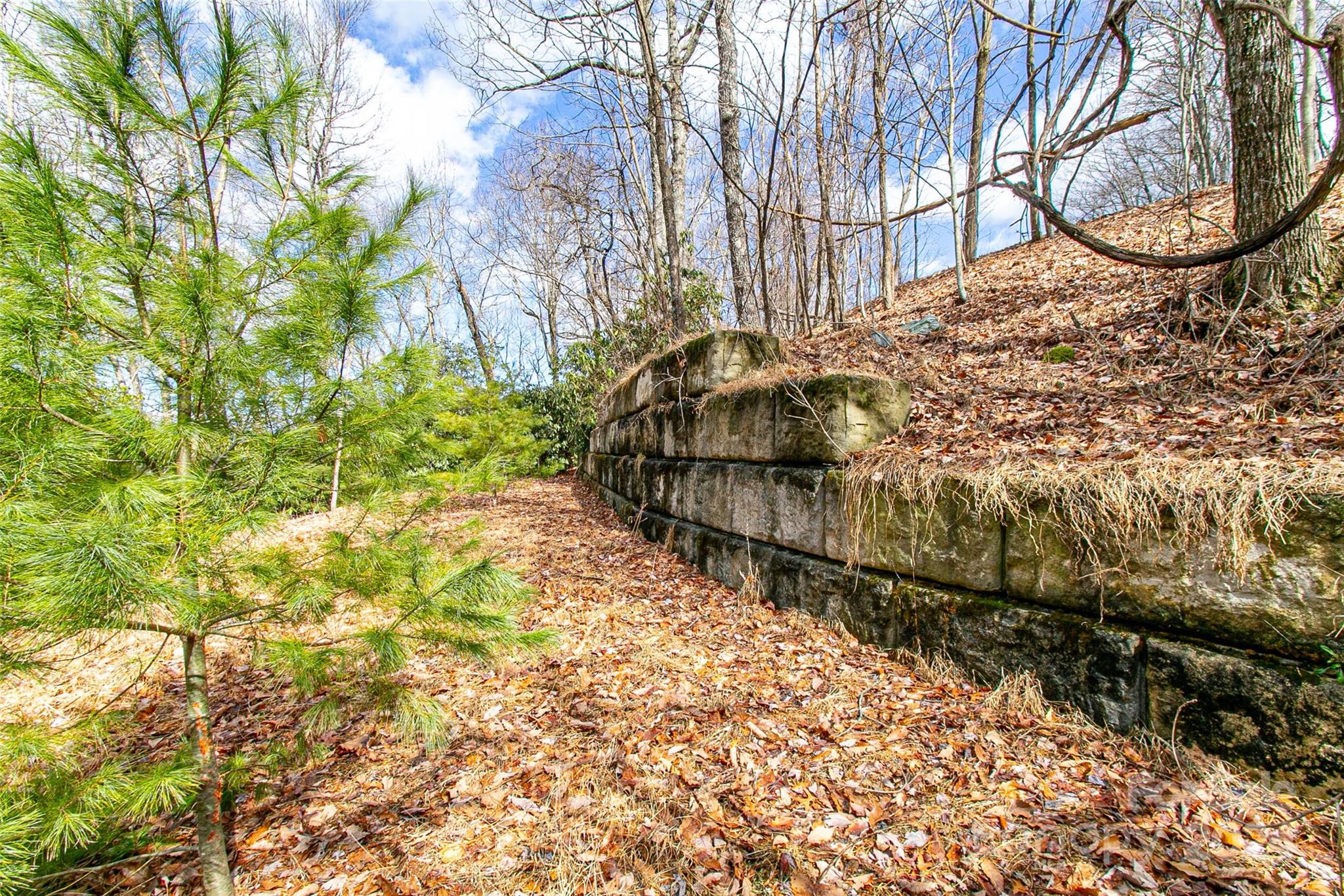 Tbd Big Branch Road, Unit S4 / L32R Brevard, NC 28712 - Photo 8 of 14 Gallery Image 8