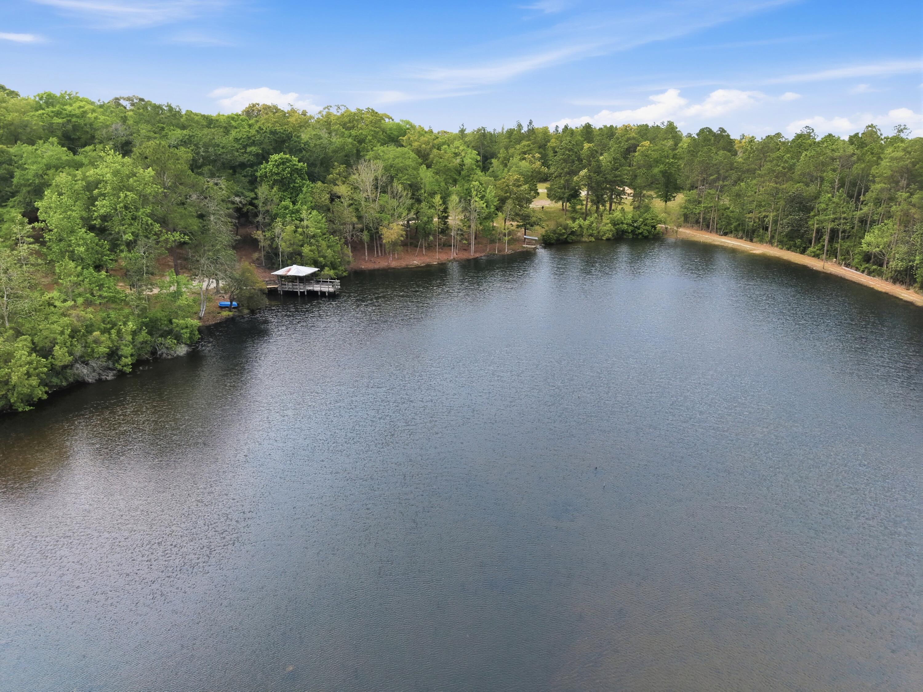 261 Wilkerson Road DeFuniak Springs, FL 32433 - Photo 29 of 76 DJI_20260429155917_0093_D