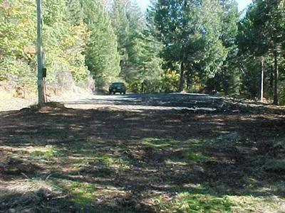 1232 Deer Creek Road Selma, OR 97538 - Photo 5 of 8 Additional Photo