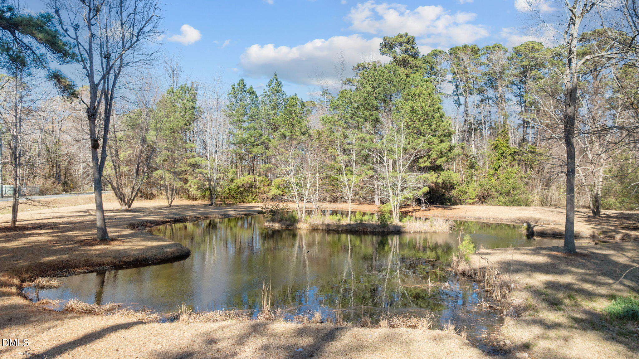 6522 Blake Street Stedman, NC 28391 - Photo 44 of 52 a view of lake