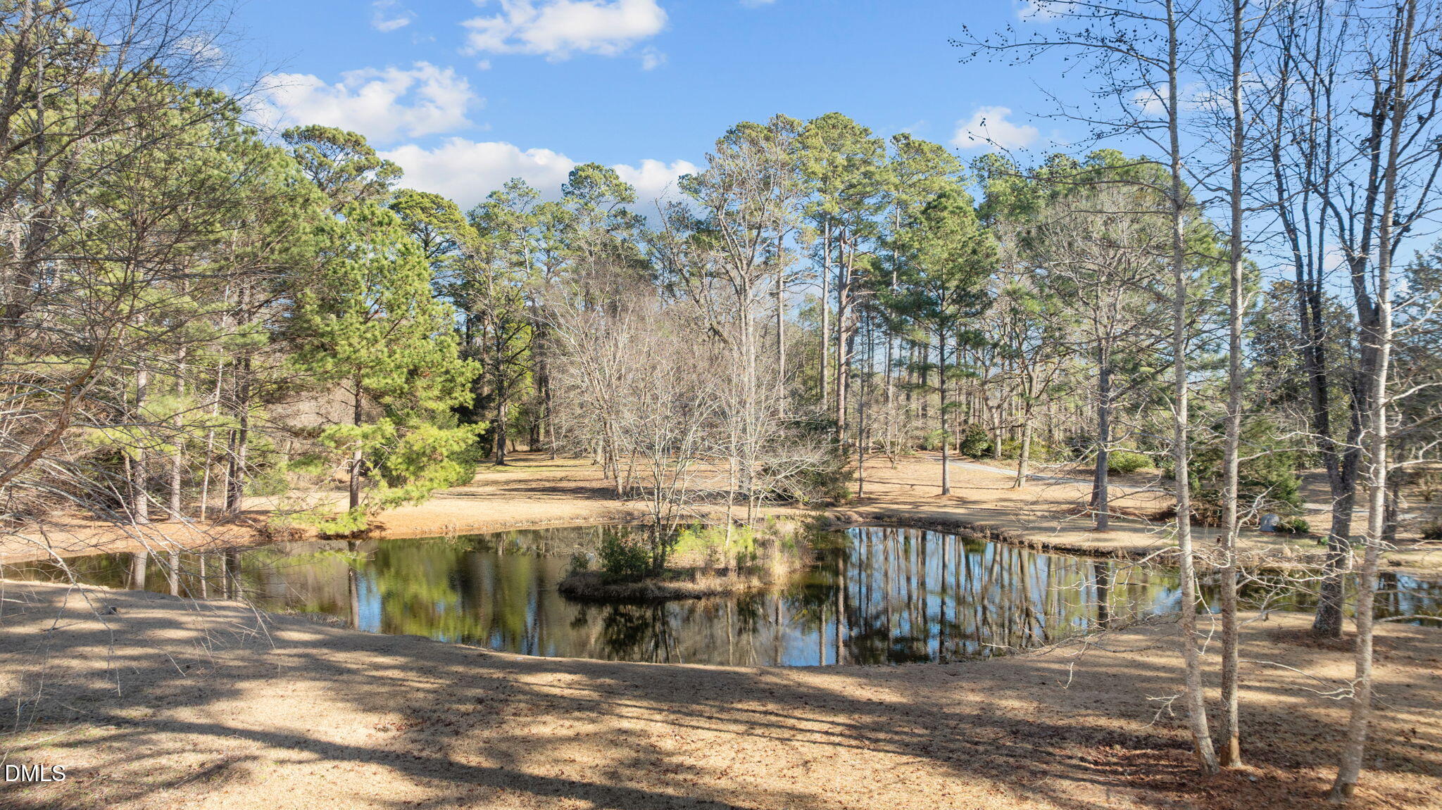 6522 Blake Street Stedman, NC 28391 - Photo 51 of 52 a view of a lake view