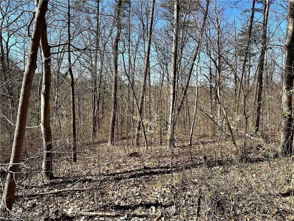 0 Fisher Ridge Road Fleming, OH 45729 - Photo 5 of 6 View of local wilderness with a view of trees
