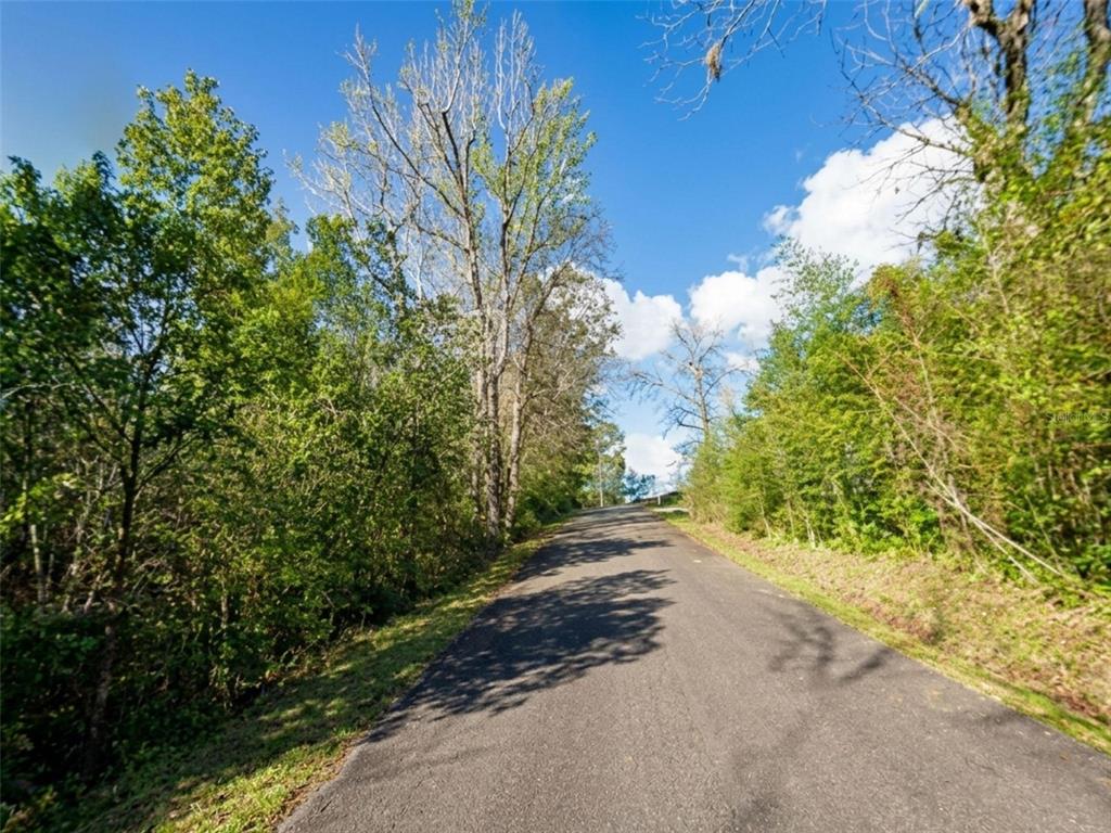 Satsuma Road Chattahoochee, FL 32324 - Photo 2 of 6