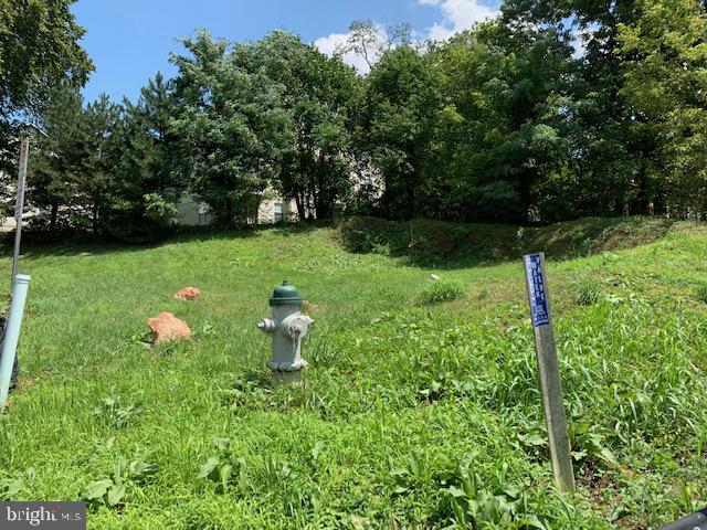 27 Spring Street Gaithersburg, MD 20877 - Photo 6 of 10 fire hydrant and water tap