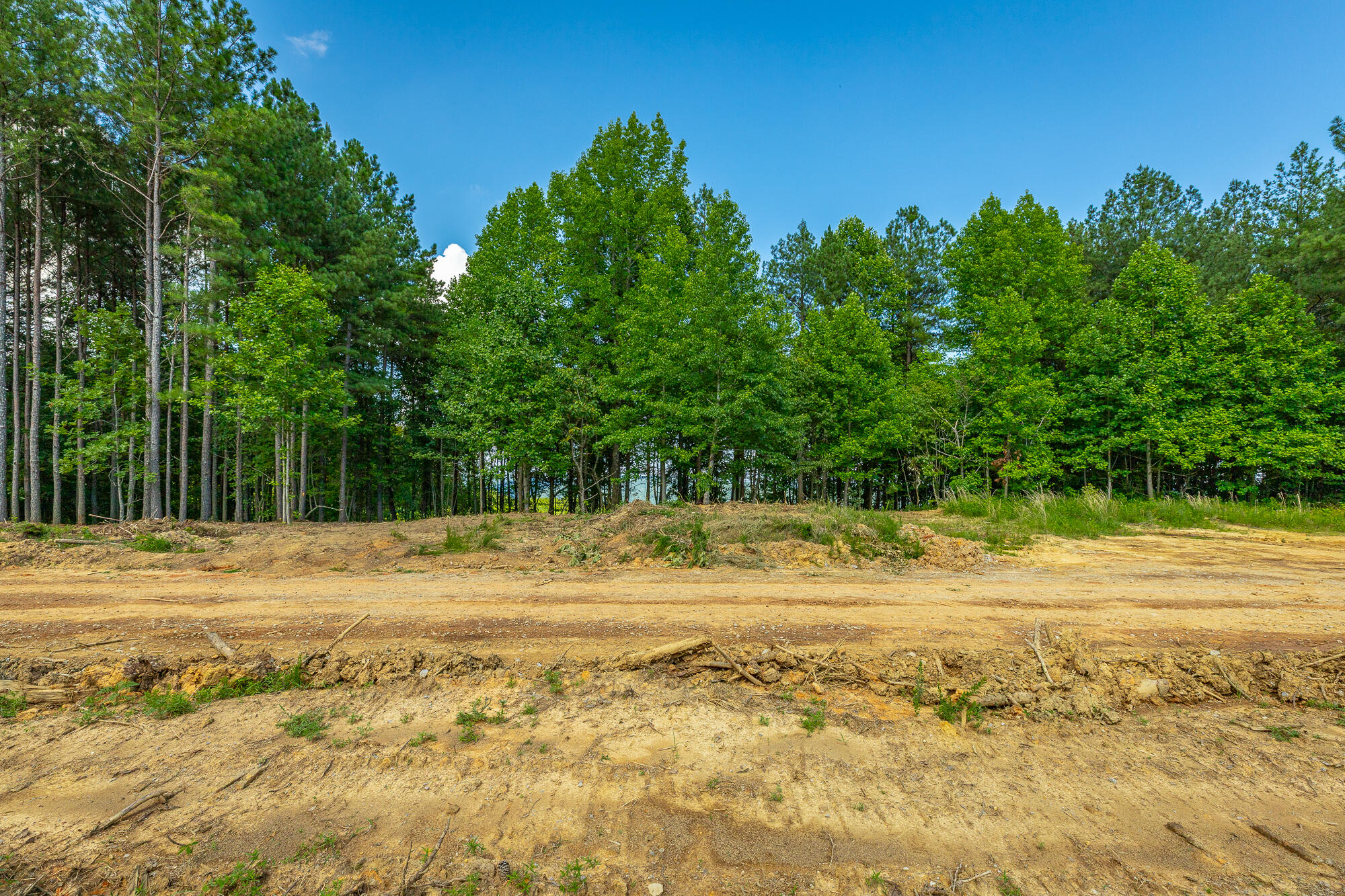 0 High Ground Road, Unit 2222 Guild, TN 37340 - Photo 22 of 110 0 High Ground Road Lot 2222 HD-48