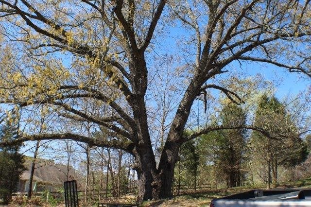 167 Little Work Acres Road Glasgow, KY 42141 - Photo 9 of 9 Gallery Image 9