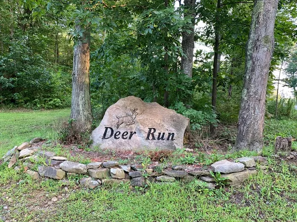 a sign that is sitting in the middle of forest