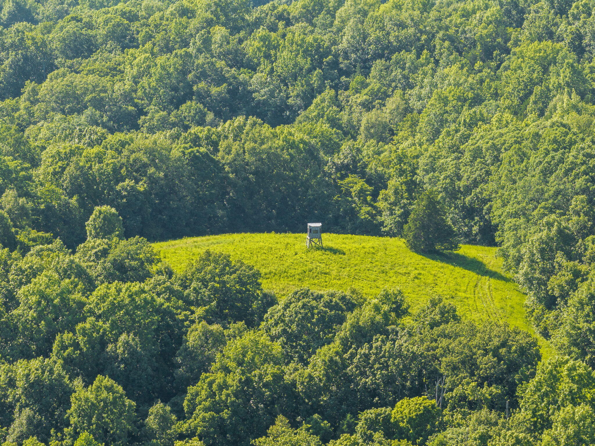 0 Johnson Road Carlisle, KY 40311 - Photo 4 of 18 83 M/L Acres