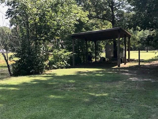 a view of a park with large trees