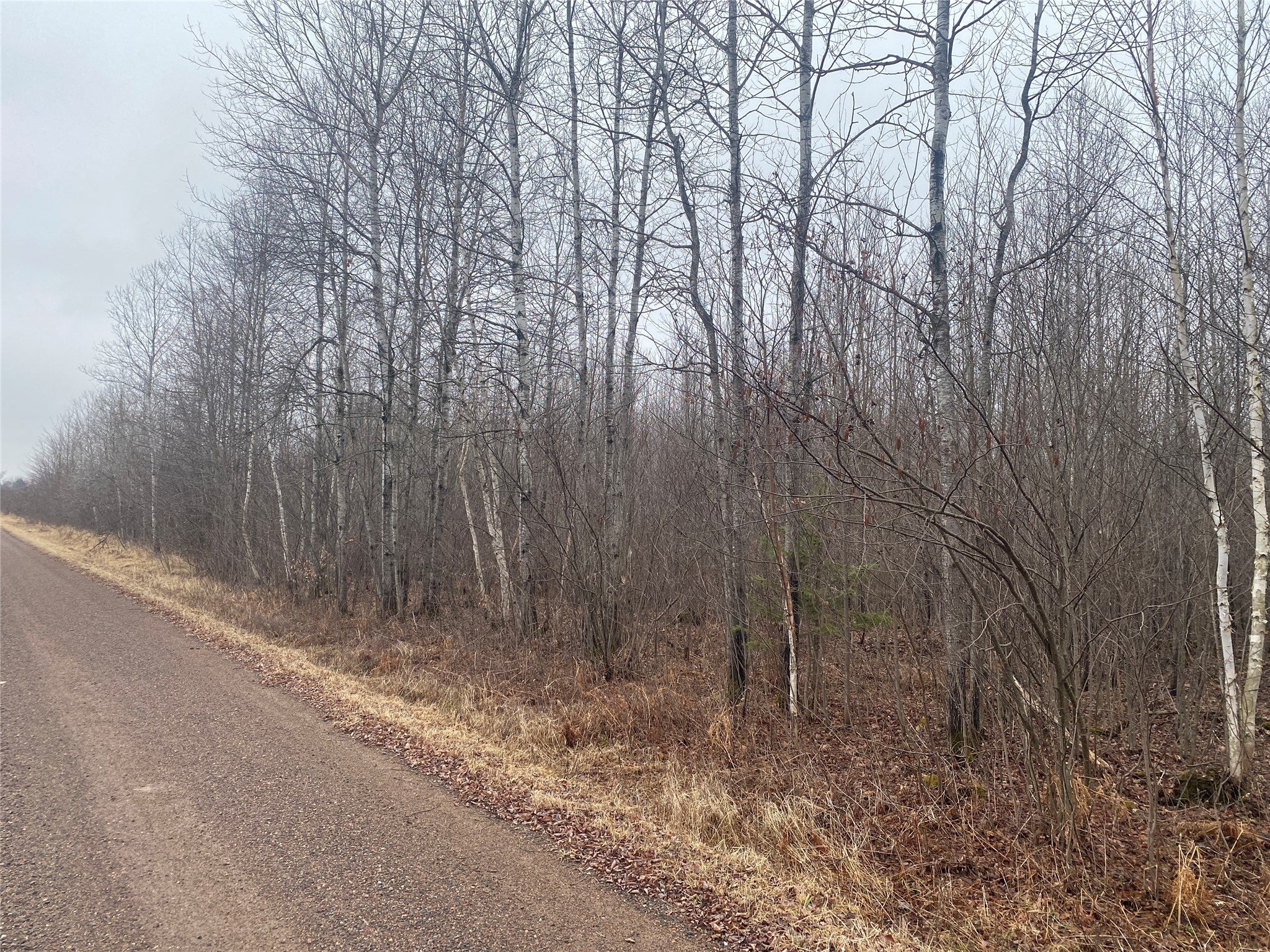 On Shauger Road Ogema, WI 54459 - Photo 1 of 8 Gallery Image 1