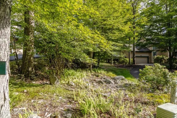 a view of a garden with a bench