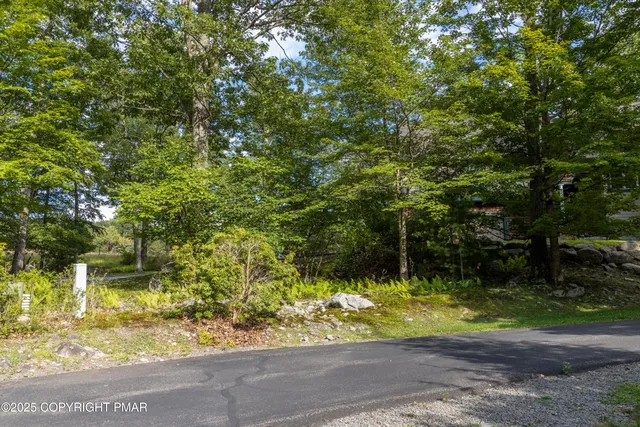 a view of a yard with plants and trees