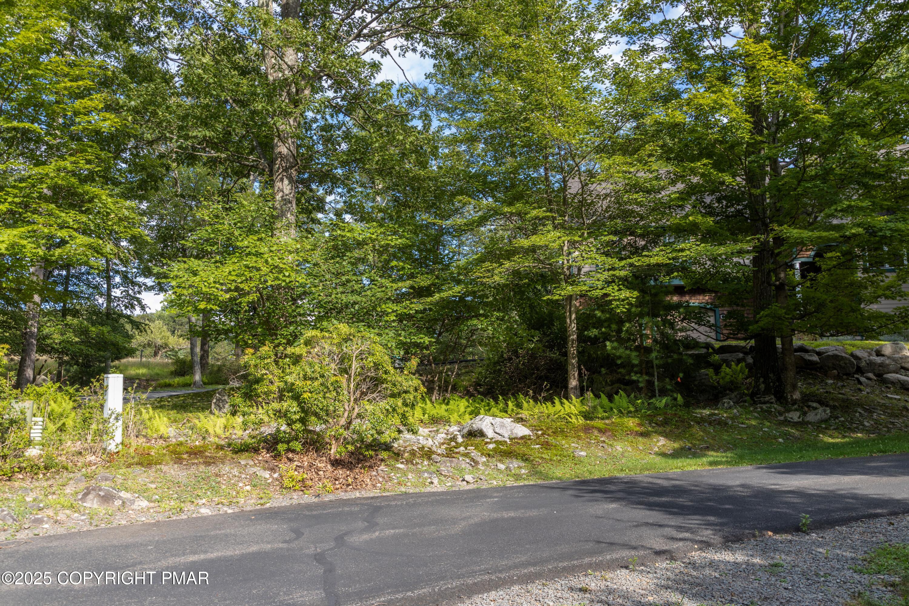 Creekside Road Canadensis, PA 18325 - Photo 5 of 22 a view of a yard with plants and trees