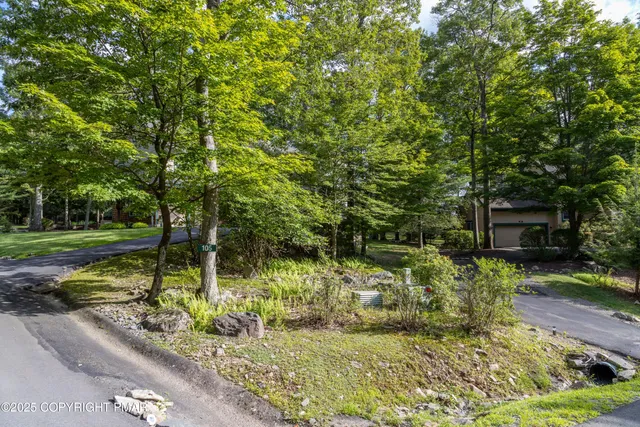 a view of a garden with a bench