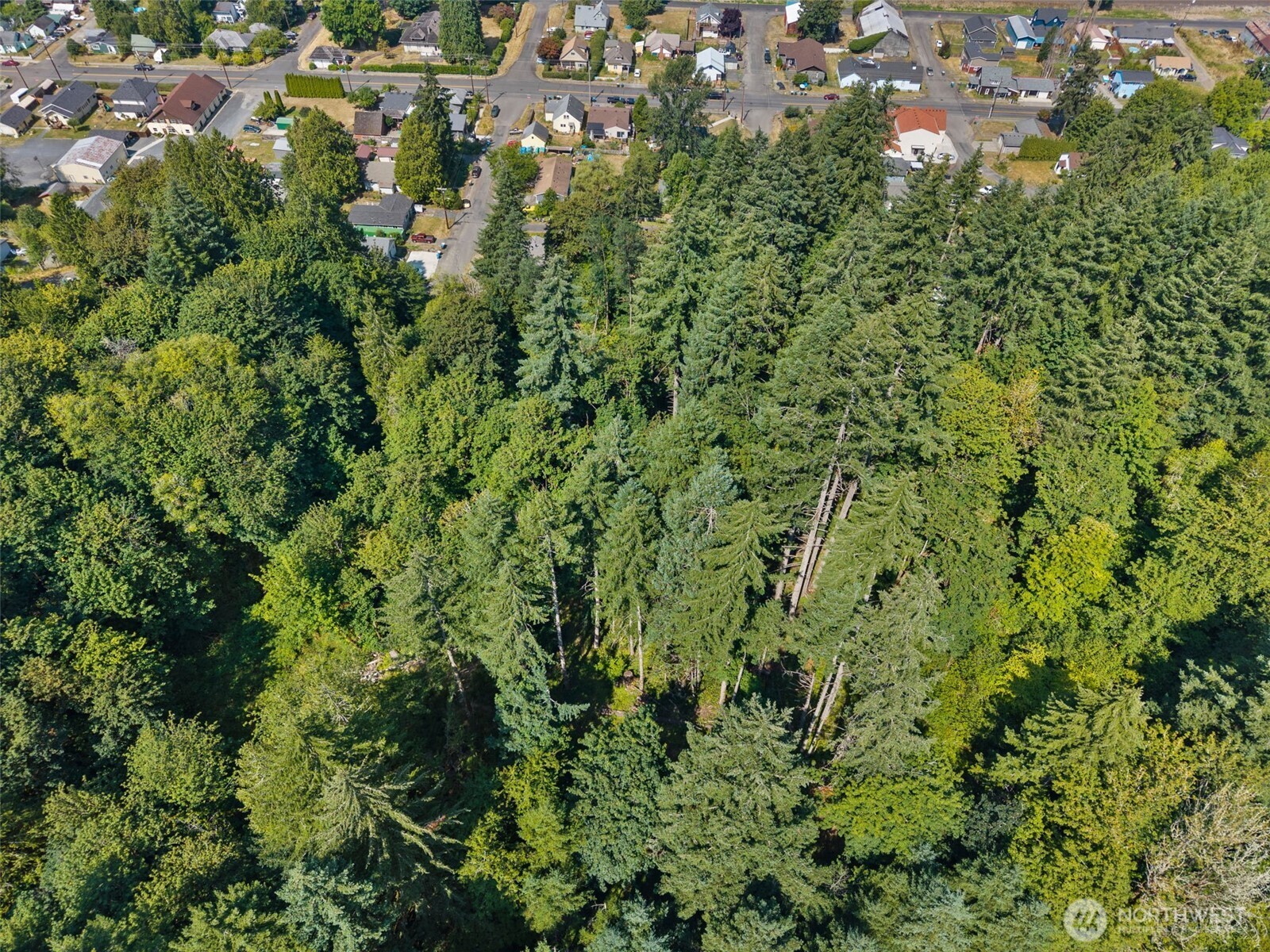 0 Southeast Ash Street Winlock, WA 98596 - Photo 14 of 23 Gallery Image 14