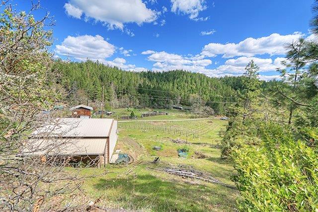 652 Gold Canyon Road Selma, OR 97538 - Photo 4 of 16 Additional Photo
