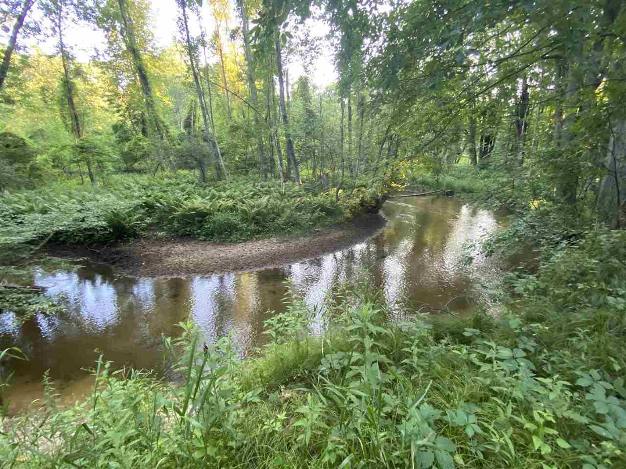5950-1 Calhoun Road Beaverton, MI 48612 - Photo 56 of 93