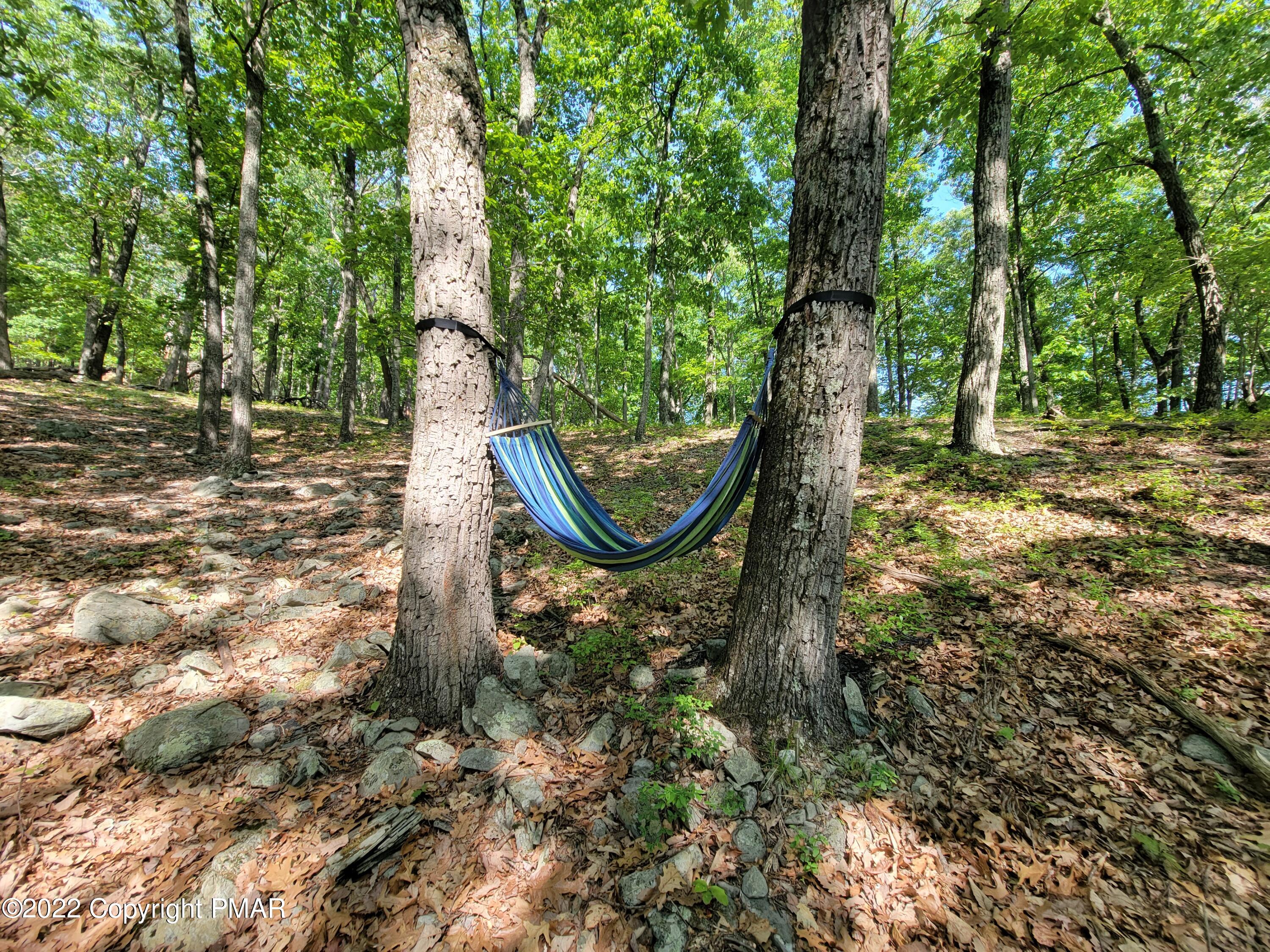 358 Brentwood Drive Bushkill, PA 18324 - Photo 39 of 59 a view of a yard with large trees