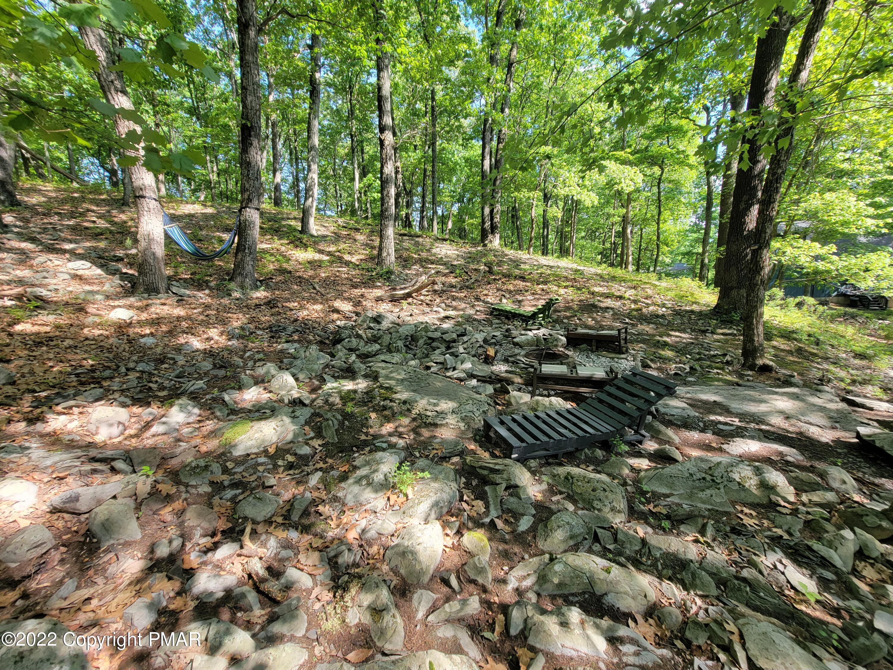 358 Brentwood Drive Bushkill, PA 18324 - Photo 42 of 59 a view of a tree in a yard