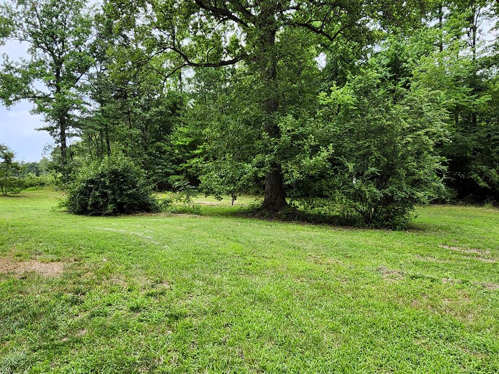 9726 Nutbush Road Green Bay, VA 23942 - Photo 4 of 17 Gallery Image 4