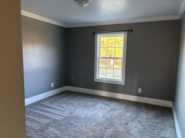 327 Cedar Lane Road Westminster, SC 29693 - Photo 23 of 48
