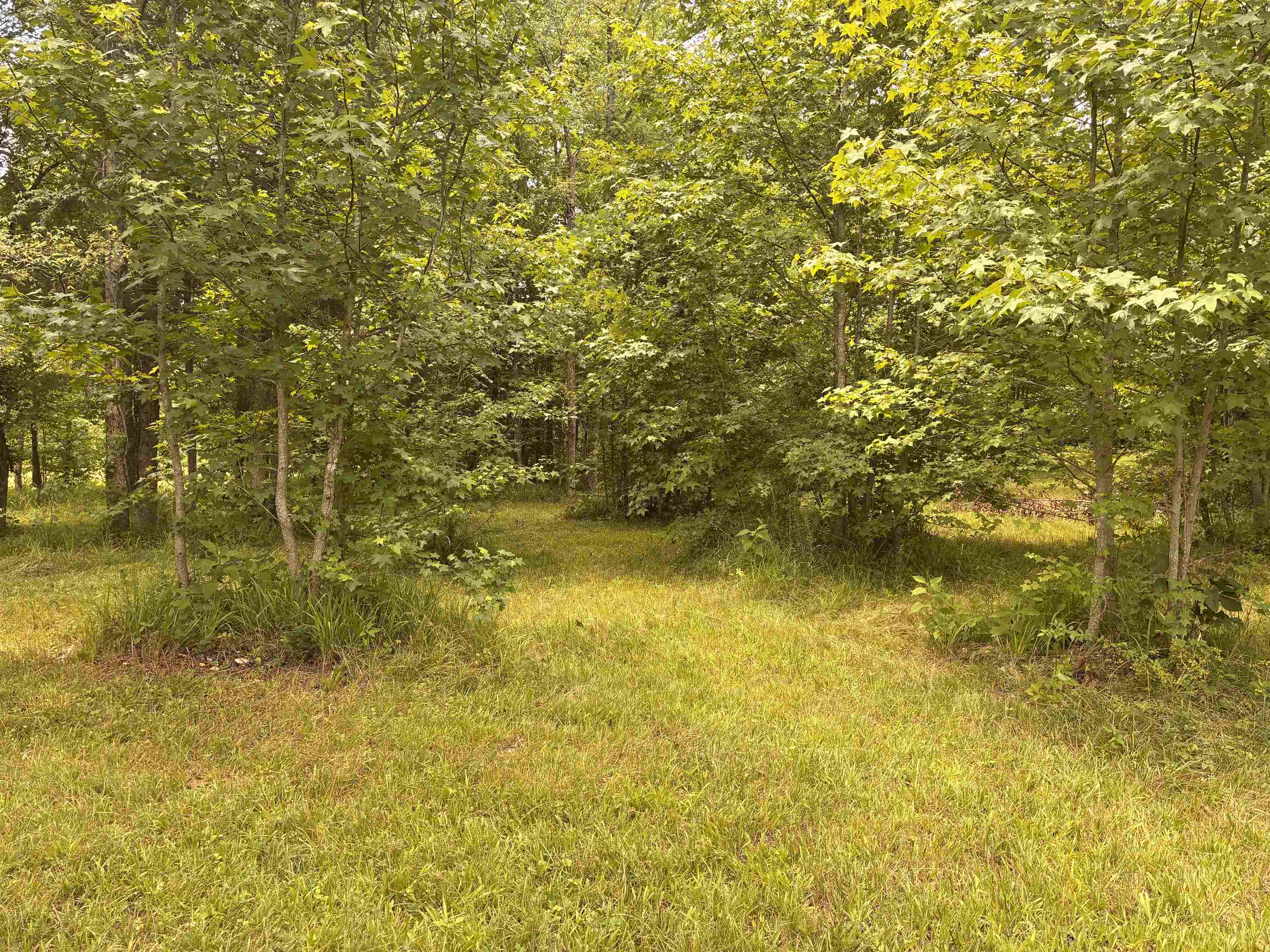 Lot 1 State Rd S-11-54 Gaffney, SC 29340 - Photo 7 of 19