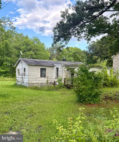a backyard of a house with plants and large tree