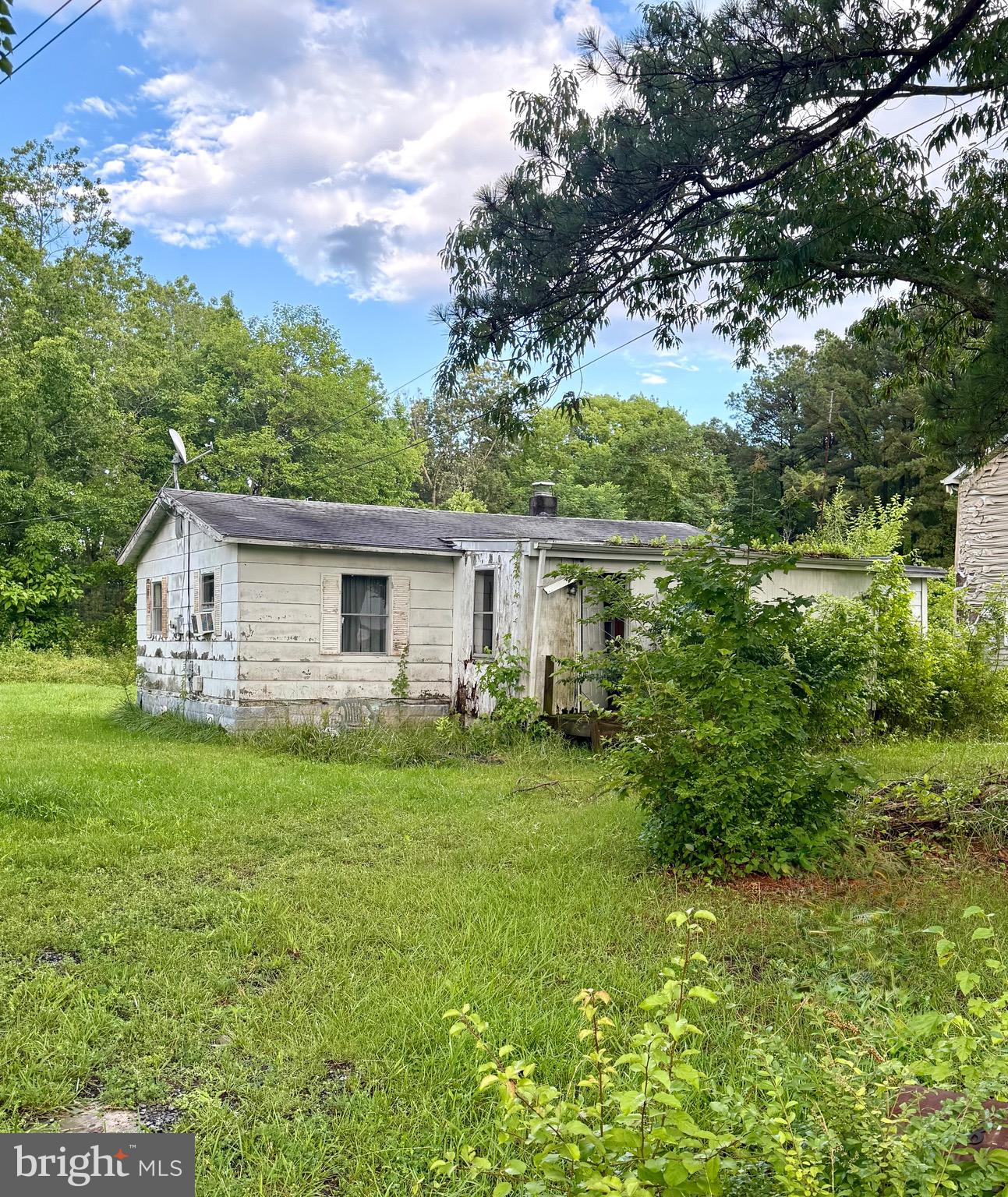a backyard of a house with plants and large tree