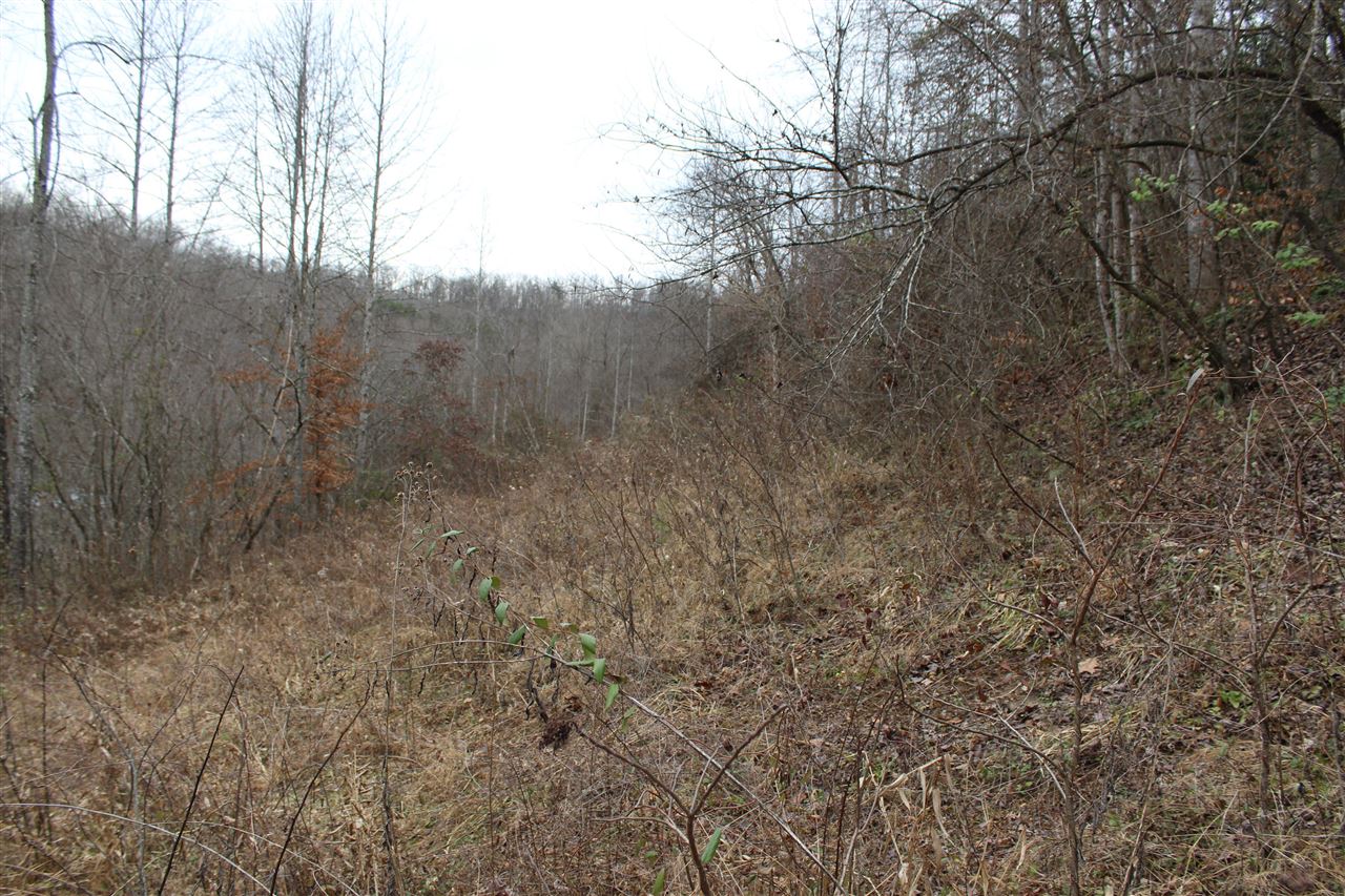 1065 Blaze Road West Liberty, KY 41472 - Photo 21 of 24 Gallery Image 21