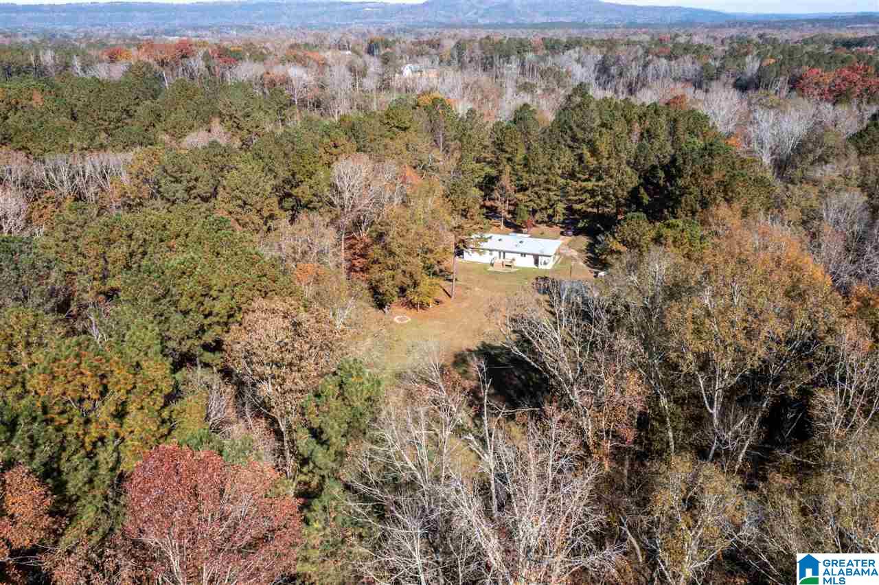 481 Highway 45 Sterrett, AL 35147 - Photo 39 of 41