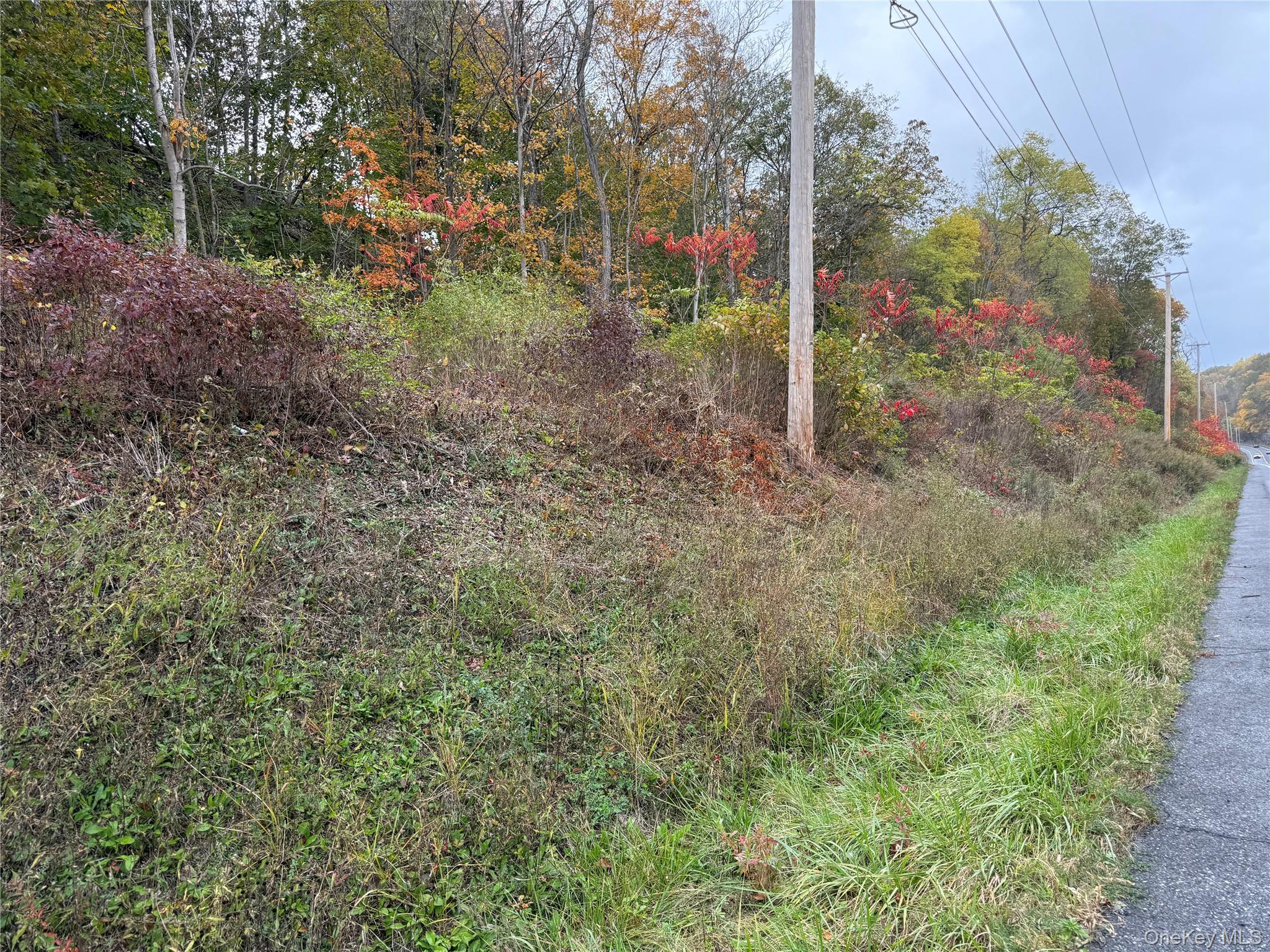 2679 Rte 9W Saugerties, NY 12477 - Photo 5 of 7 View of yard